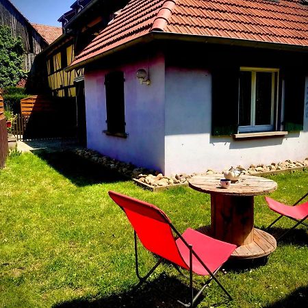 Gite Plain-Pied Avec Jardin Du Centre Alsace Ebersheim Esterno foto